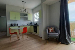 Ducos : Petit appartement agréable et central